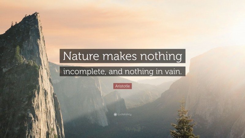 Aristotle Quote: “Nature makes nothing incomplete, and nothing in vain.”