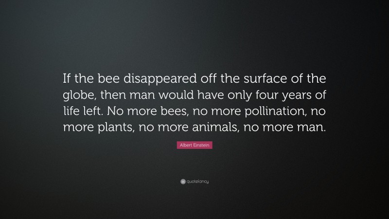 Albert Einstein Quote: “If the bee disappeared off the surface of the globe, then man would have only four years of life left. No more bees, no more pollination, no more plants, no more animals, no more man.”