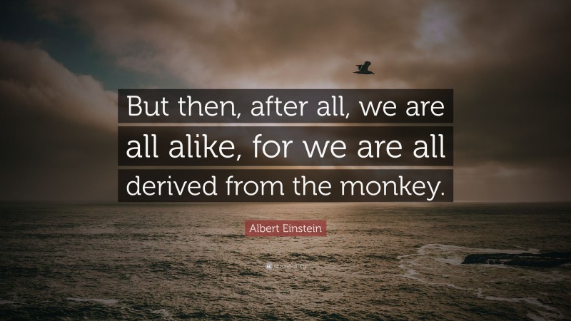 Albert Einstein Quote: “But then, after all, we are all alike, for we are all derived from the monkey.”