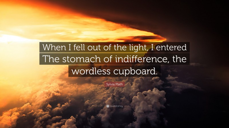 Sylvia Plath Quote: “When I fell out of the light, I entered The stomach of indifference, the wordless cupboard.”