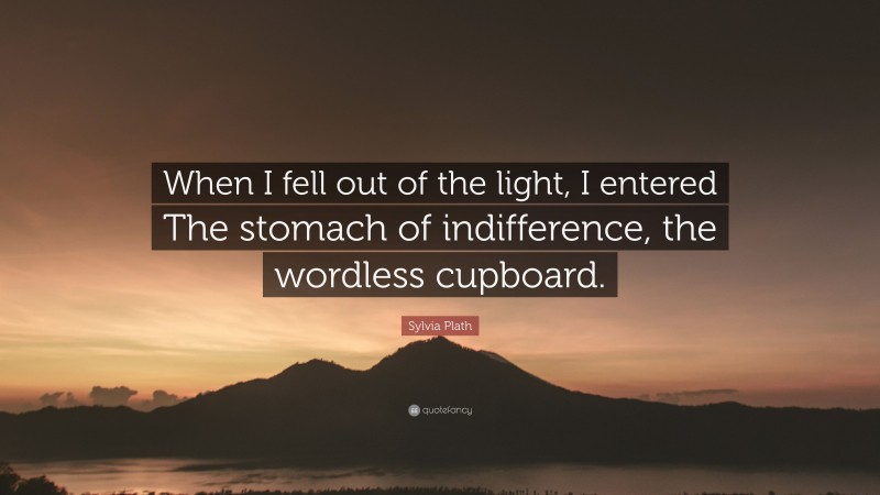 Sylvia Plath Quote: “When I fell out of the light, I entered The stomach of indifference, the wordless cupboard.”