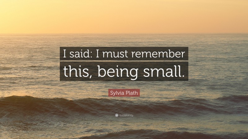 Sylvia Plath Quote: “I said: I must remember this, being small.”
