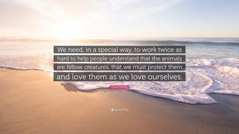 César Chávez Quote: “We need, in a special way, to work twice as hard to help people understand that the animals are fellow creatures, that we must protect them and love them as we love ourselves.”