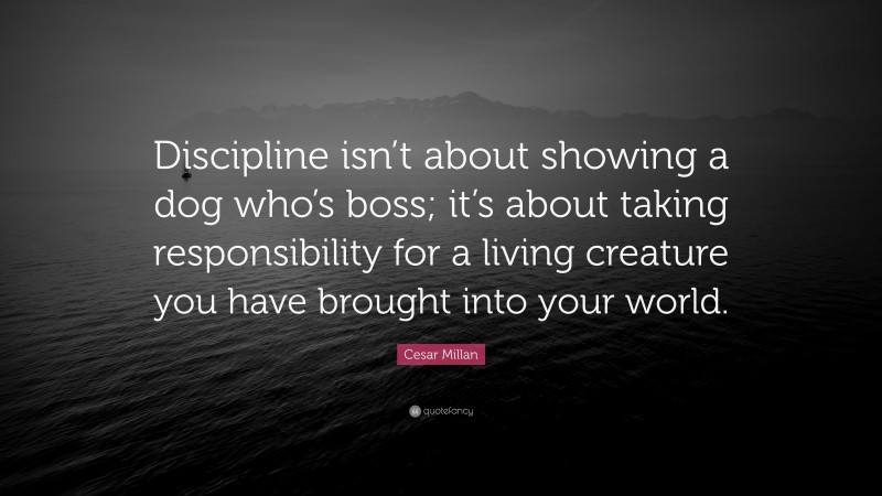 Cesar Millan Quote: “Discipline isn’t about showing a dog who’s boss; it’s about taking responsibility for a living creature you have brought into your world.”