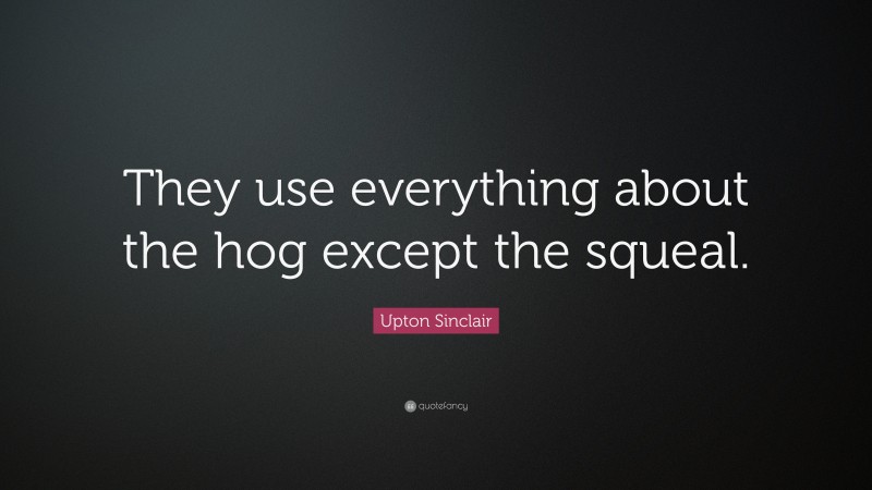 Upton Sinclair Quote: “They use everything about the hog except the squeal.”