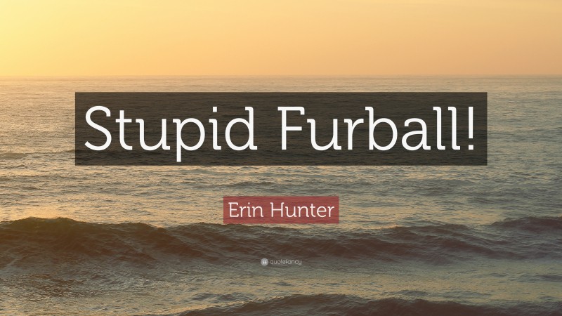 Erin Hunter Quote: “Stupid Furball!”