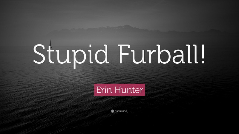 Erin Hunter Quote: “Stupid Furball!”