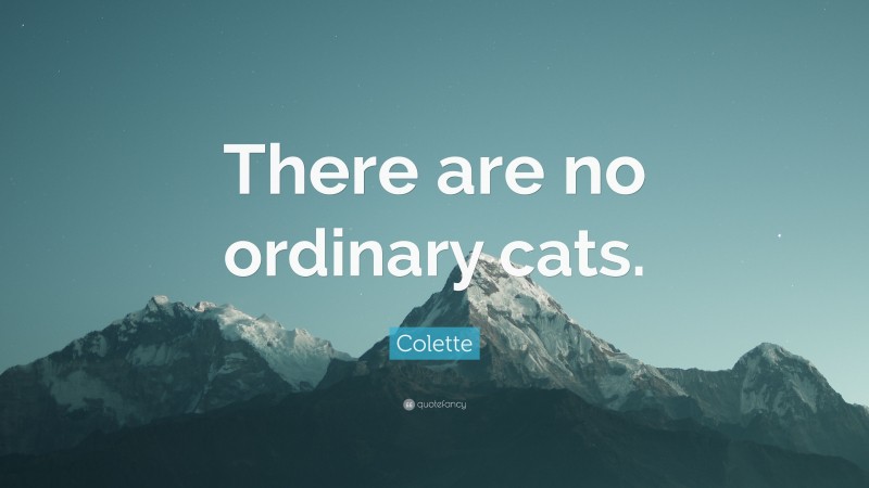 Colette Quote: “There are no ordinary cats.”