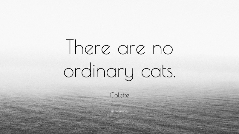 Colette Quote: “There are no ordinary cats.”