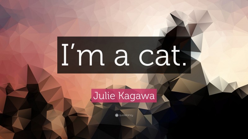 Julie Kagawa Quote: “I’m a cat.”