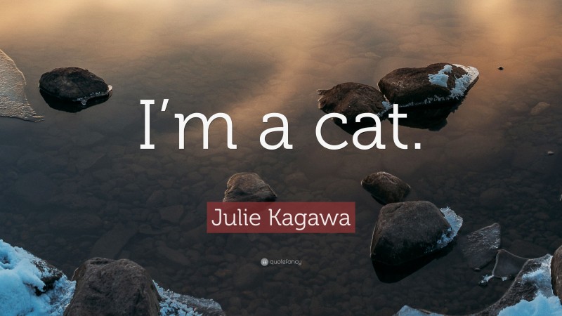 Julie Kagawa Quote: “I’m a cat.”