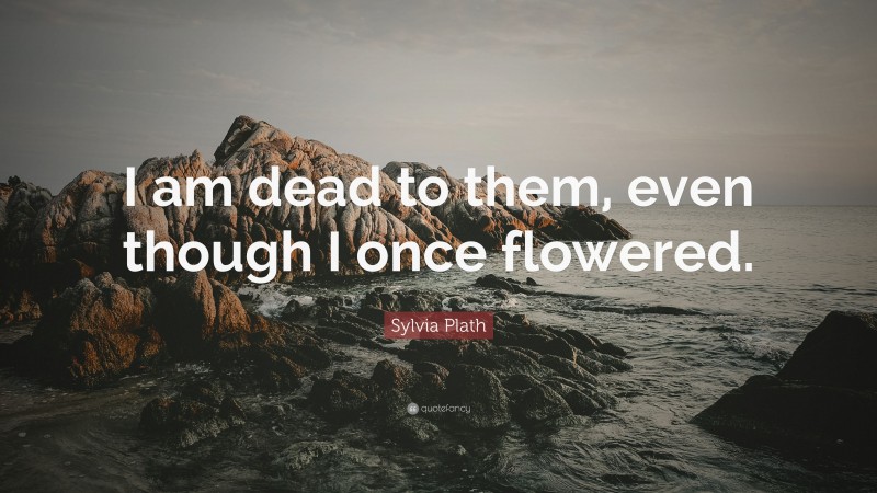 Sylvia Plath Quote: “I am dead to them, even though I once flowered.”