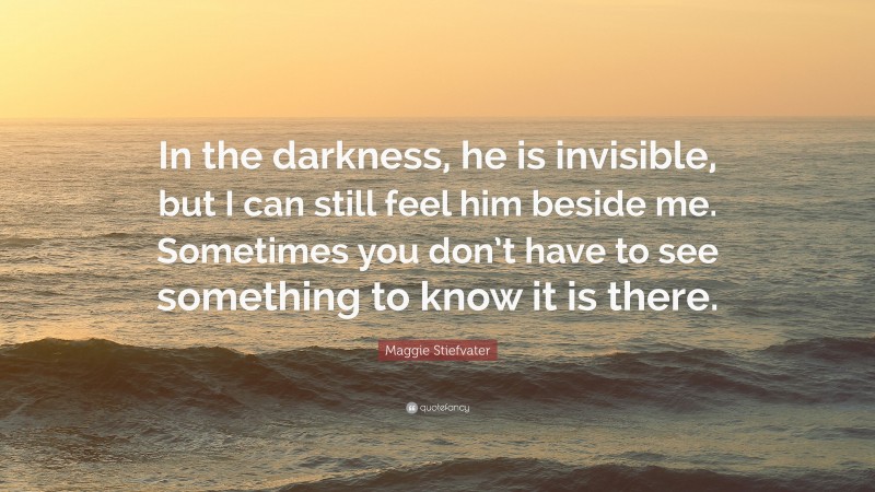 Maggie Stiefvater Quote: “In the darkness, he is invisible, but I can still feel him beside me. Sometimes you don’t have to see something to know it is there.”