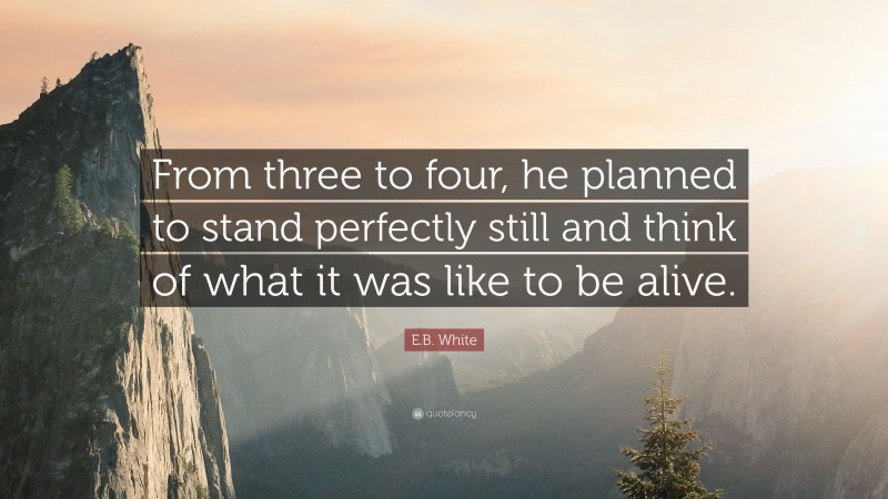 E.B. White Quote: “From three to four, he planned to stand perfectly still and think of what it was like to be alive.”