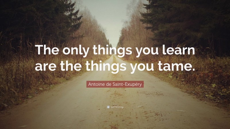 Antoine de Saint-Exupéry Quote: “The only things you learn are the things you tame.”