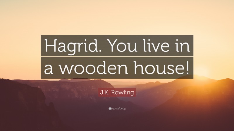J.K. Rowling Quote: “Hagrid. You live in a wooden house!”