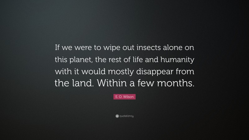 E. O. Wilson Quote: “If we were to wipe out insects alone on this planet, the rest of life and humanity with it would mostly disappear from the land. Within a few months.”
