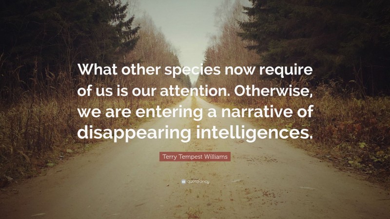 Terry Tempest Williams Quote: “What other species now require of us is our attention. Otherwise, we are entering a narrative of disappearing intelligences.”