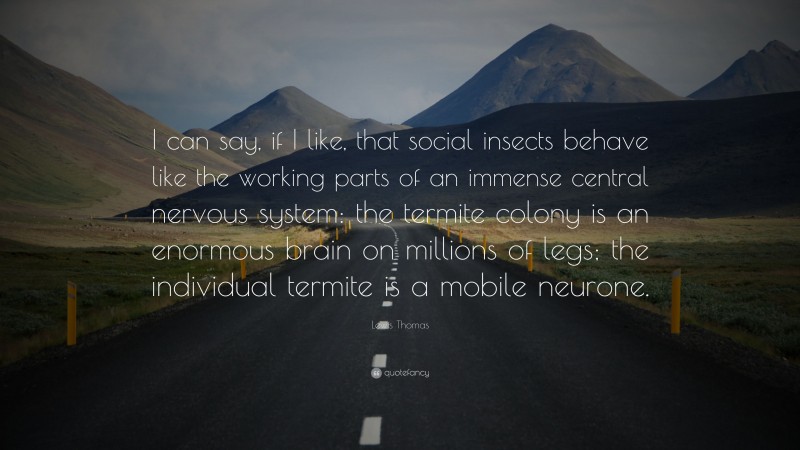 Lewis Thomas Quote: “I can say, if I like, that social insects behave like the working parts of an immense central nervous system: the termite colony is an enormous brain on millions of legs; the individual termite is a mobile neurone.”