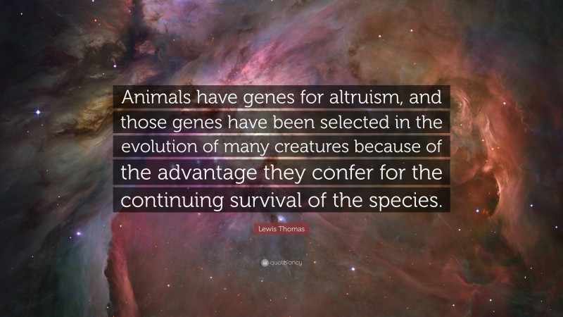 Lewis Thomas Quote: “Animals have genes for altruism, and those genes have been selected in the evolution of many creatures because of the advantage they confer for the continuing survival of the species.”
