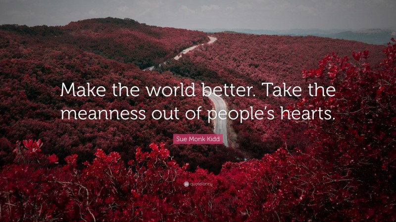 Sue Monk Kidd Quote: “Make the world better. Take the meanness out of people’s hearts.”