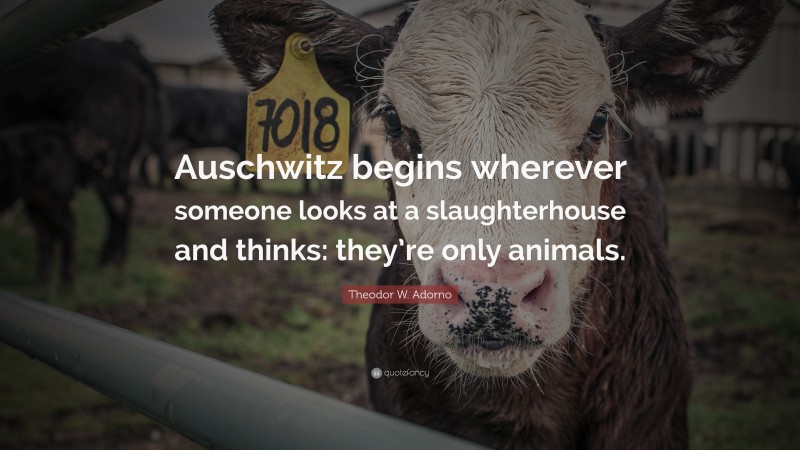 Theodor W. Adorno Quote: “Auschwitz begins wherever someone looks at a slaughterhouse and thinks: they’re only animals.”