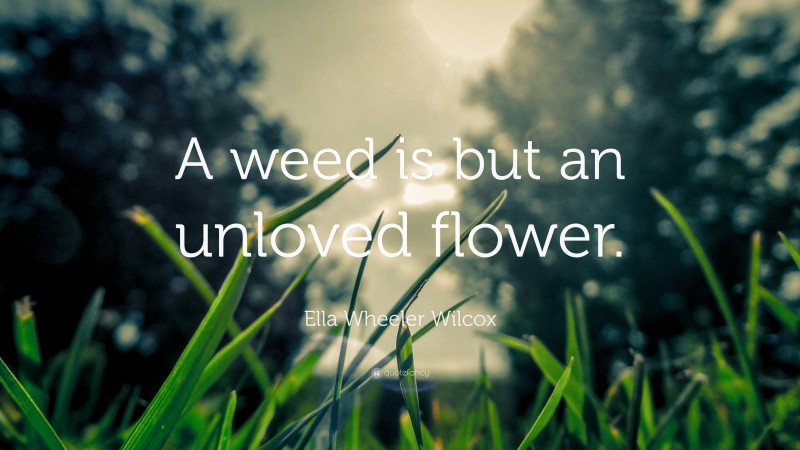 Ella Wheeler Wilcox Quote: “A weed is but an unloved flower.”