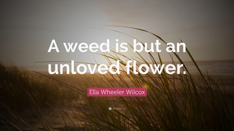 Ella Wheeler Wilcox Quote: “A weed is but an unloved flower.”