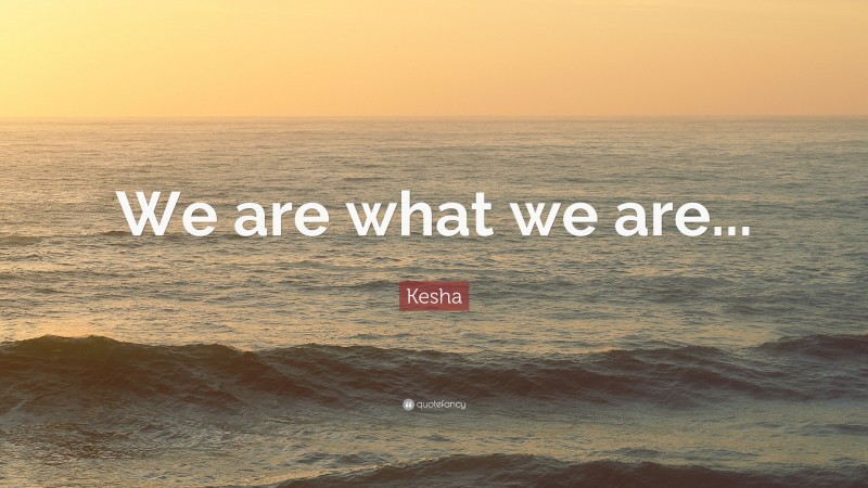 Kesha Quote: “We are what we are...”