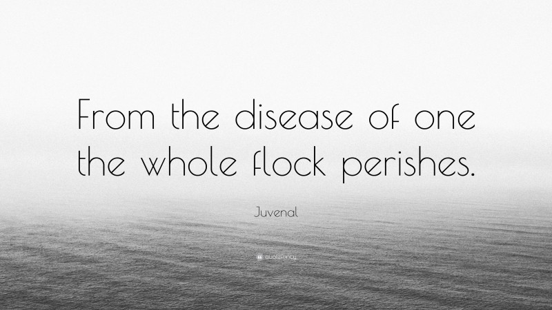 Juvenal Quote: “From the disease of one the whole flock perishes.”