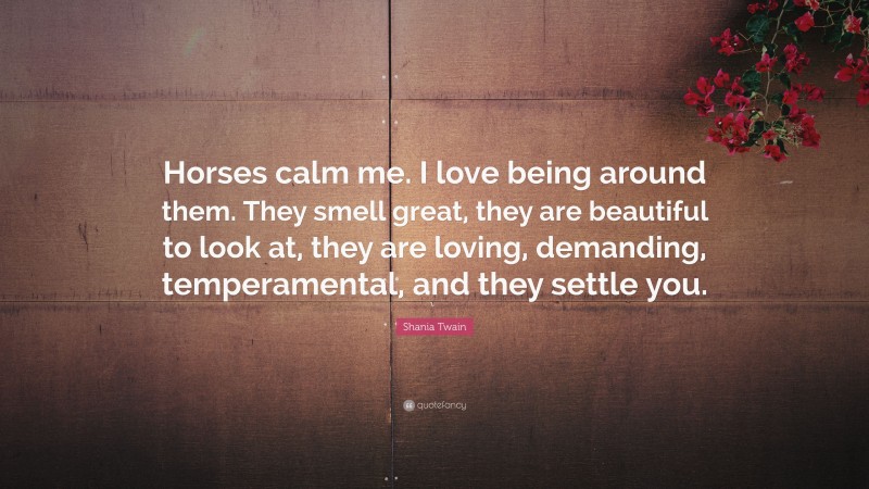 Shania Twain Quote: “Horses calm me. I love being around them. They smell great, they are beautiful to look at, they are loving, demanding, temperamental, and they settle you.”