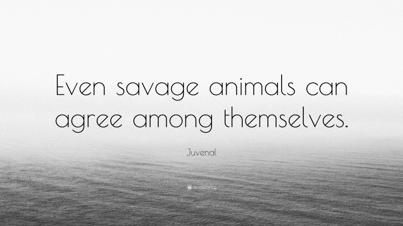 Juvenal Quote: “Even savage animals can agree among themselves.”