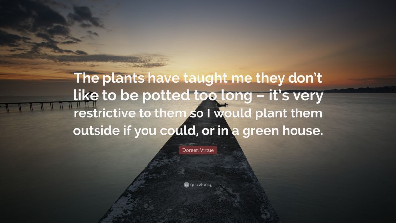 Doreen Virtue Quote: “The plants have taught me they don’t like to be potted too long – it’s very restrictive to them so I would plant them outside if you could, or in a green house.”