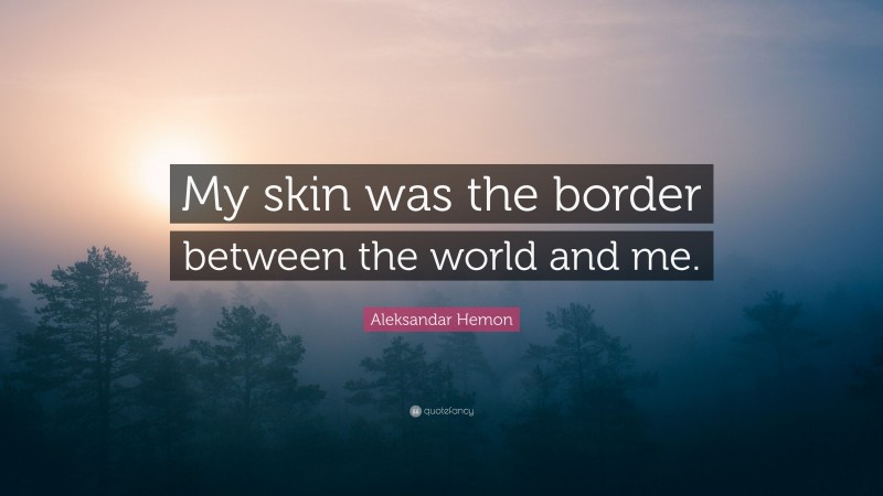 Aleksandar Hemon Quote: “My skin was the border between the world and me.”