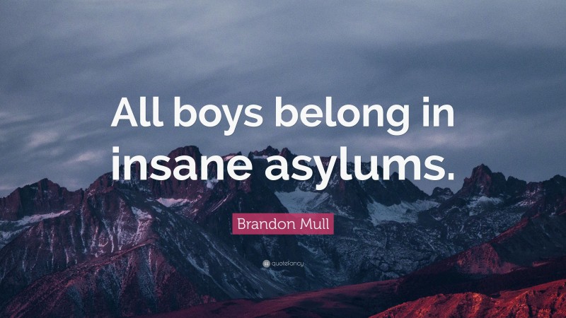 Brandon Mull Quote: “All boys belong in insane asylums.”