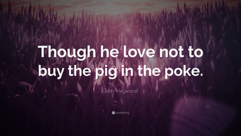 John Heywood Quote: “Though he love not to buy the pig in the poke.”