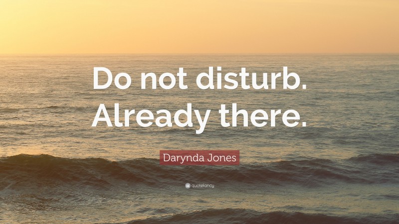 Darynda Jones Quote: “Do not disturb. Already there.”