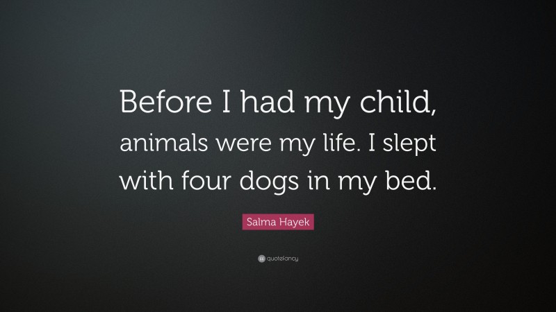 Salma Hayek Quote: “Before I had my child, animals were my life. I slept with four dogs in my bed.”