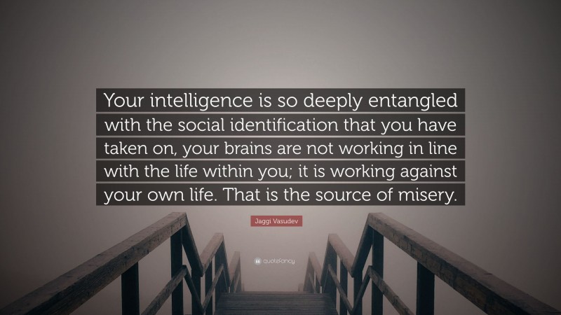 Jaggi Vasudev Quote: “Your intelligence is so deeply entangled with the social identification that you have taken on, your brains are not working in line with the life within you; it is working against your own life. That is the source of misery.”