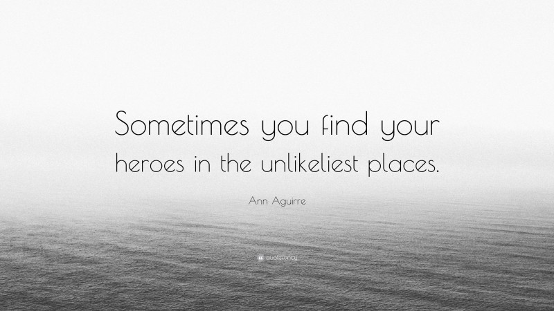 Ann Aguirre Quote: “Sometimes you find your heroes in the unlikeliest places.”