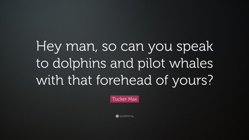 Tucker Max Quote: “Hey man, so can you speak to dolphins and pilot whales with that forehead of yours?”