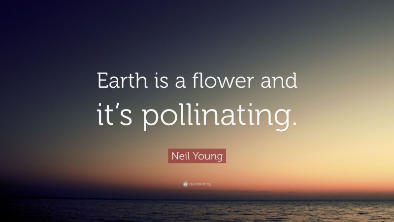 Neil Young Quote: “Earth is a flower and it’s pollinating.”