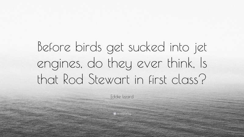 Eddie Izzard Quote: “Before birds get sucked into jet engines, do they ever think, Is that Rod Stewart in first class?”