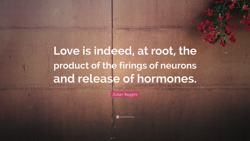 Julian Baggini Quote: “Love is indeed, at root, the product of the firings of neurons and release of hormones.”