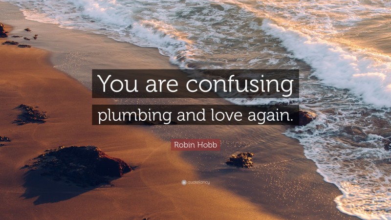 Robin Hobb Quote: “You are confusing plumbing and love again.”