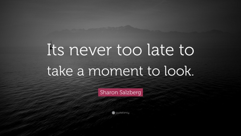 Sharon Salzberg Quote: “Its never too late to take a moment to look.”