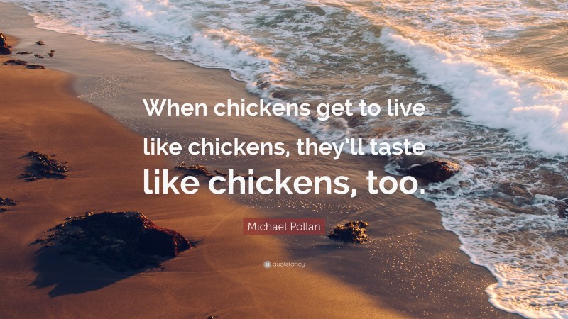 Michael Pollan Quote: “When chickens get to live like chickens, they’ll taste like chickens, too.”