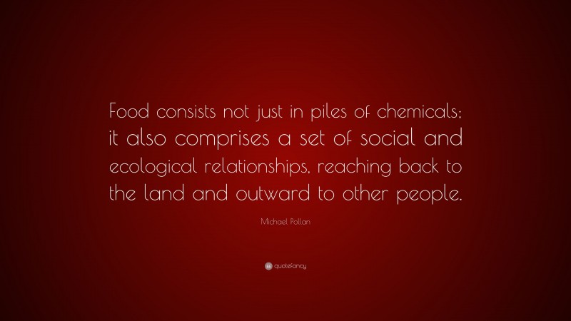 Michael Pollan Quote: “Food consists not just in piles of chemicals; it also comprises a set of social and ecological relationships, reaching back to the land and outward to other people.”