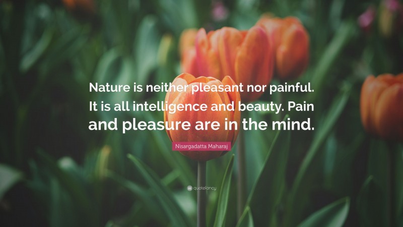 Nisargadatta Maharaj Quote: “Nature is neither pleasant nor painful. It is all intelligence and beauty. Pain and pleasure are in the mind.”
