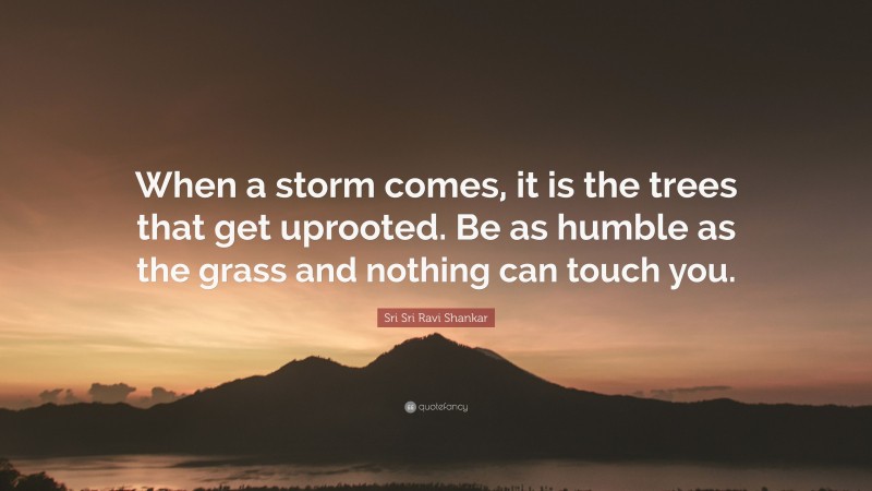Sri Sri Ravi Shankar Quote: “When a storm comes, it is the trees that get uprooted. Be as humble as the grass and nothing can touch you.”